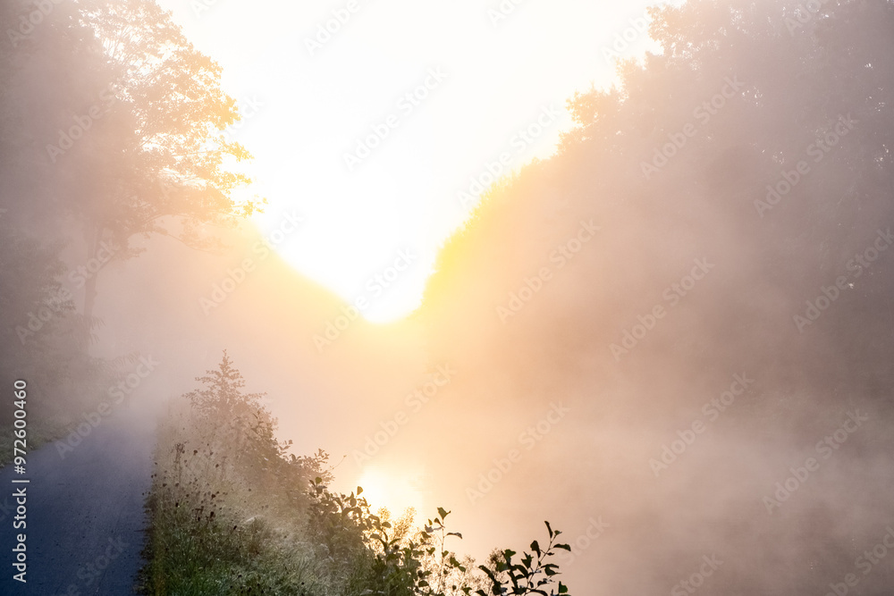 Fototapeta premium A tranquil sunrise gently illuminates a misty river, beautifully surrounded by lush greenery and soft golden hues