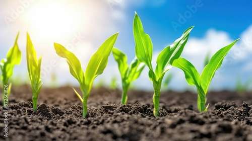 A close up of a field with green plants growing in it, AI