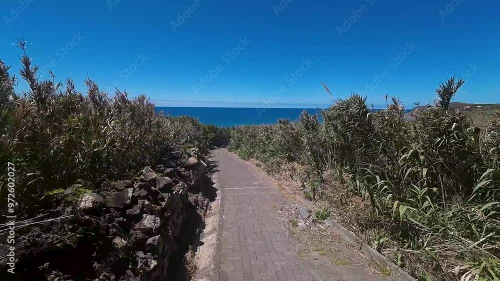 Brick paver path leading to the ocean lined with tall green crops of farms. Low angle FPV drone view of Madeira landscape near coast. Brick paver path leading to the ocean lined with tall green crops of farms. Low angle FPV drone view of Madeira landscape near coast.