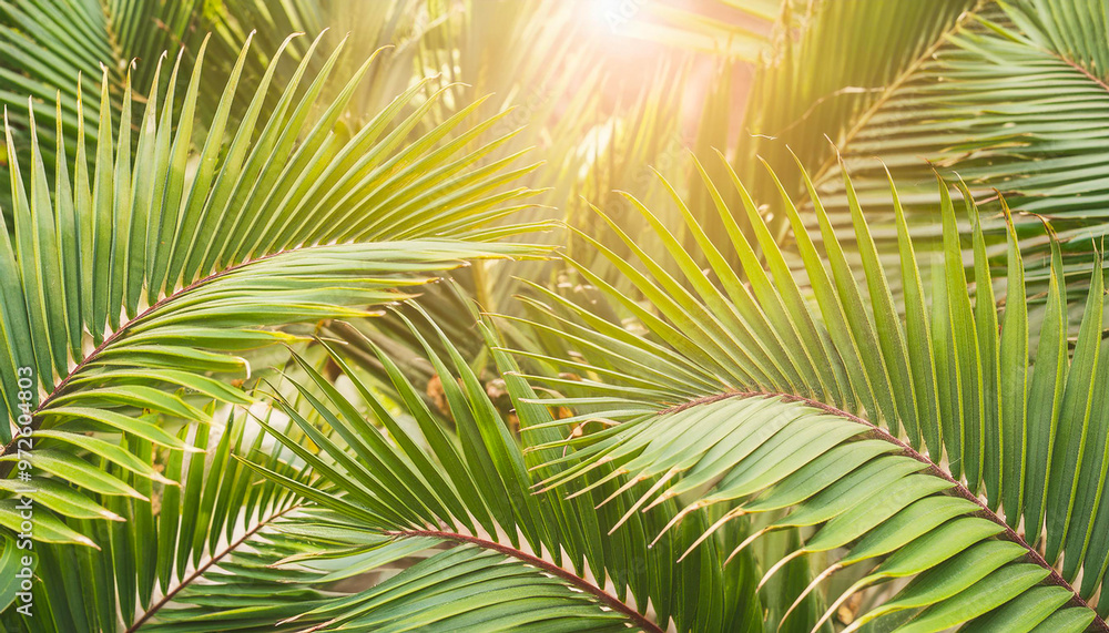 Peaceful summer background with space for text. beautiful sunset on a desert island with palm trees leaning towards the ocean. the ocean washes the sandy beach with waves. Generative AI Peaceful summer background with space for text. beautiful sunset on a desert island with palm trees leaning towards the ocean. the ocean washes the sandy beach with waves. Generative AI
