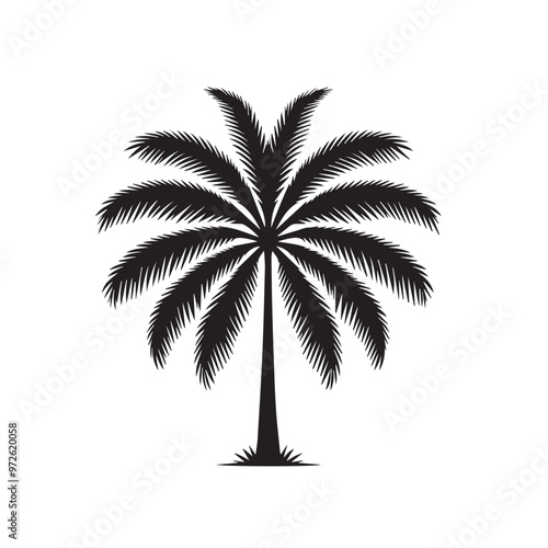 Palm tree vector design isolated on white background. Palm tree logo, icon, sign. Tropical palm tree illustration.