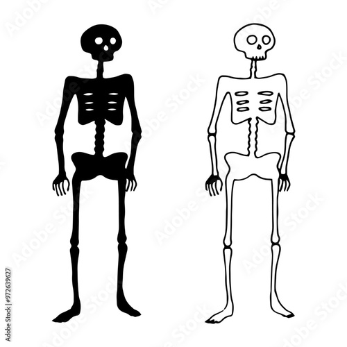 Human skeleton silhouette. Graphic illustration for Halloween or Day of the Dead and horror themes. Hand drawn linear shapes. Monochrome character clipart for scary holiday. Simple doodle style