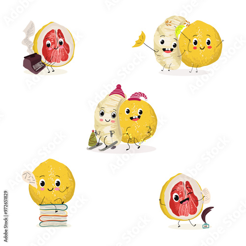 Pomelo fruit, tropical exotic citrus, vector isolated food icon, funny character. Pummelo or shaddock fruits , tropic farm juicy exotic fruits harvest, sweet fruity dessert. Hand drawn vector.