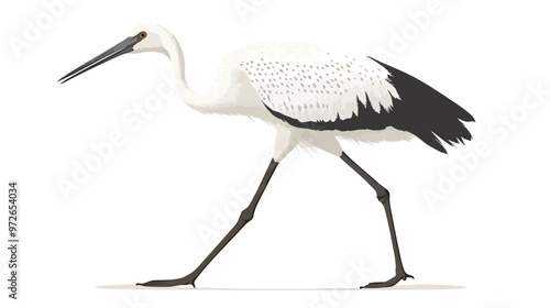 A Graceful Wading Bird with Long Legs and a Sleek Body isolated on white background
