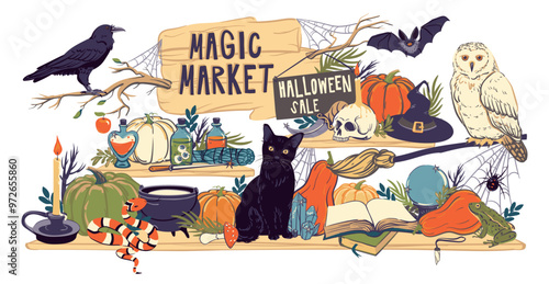 Showcase of magic shop decorated for Halloween. Shelves with witchcraft and witchcraft goods, cauldron, grimoire, potion, elixir, skull, magic ball, cat, snake, owl, toad, spider. Vector illustration photo