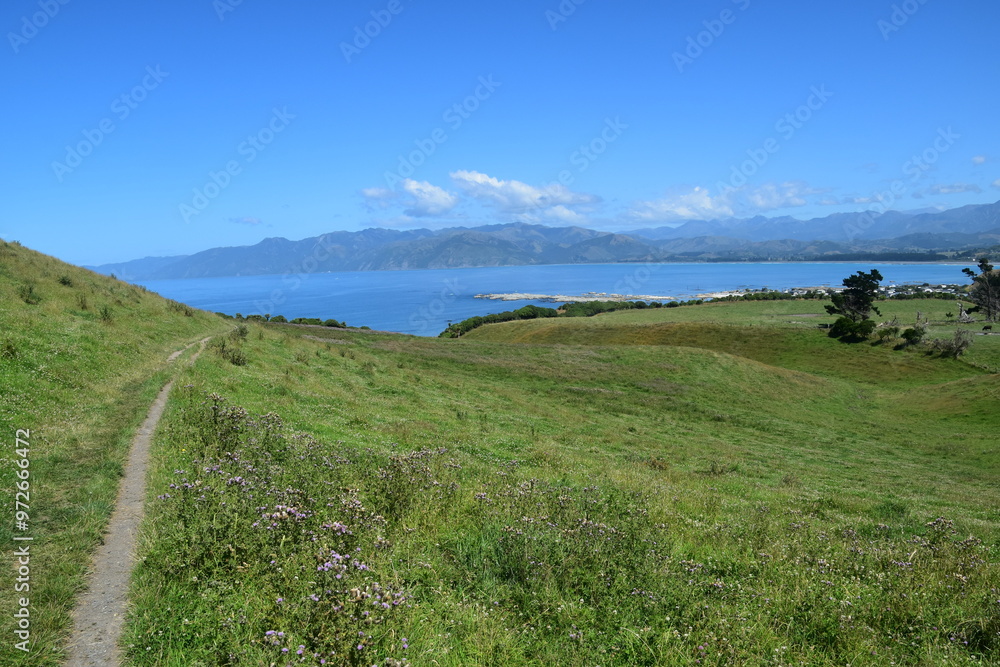 Fototapeta premium Hiking along the stunning coastline of the Kaikoura Peninsula Walkway on the South Island, New Zealand