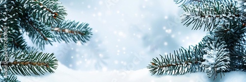 A snowy winter background with fir branches, represents the festive season, with copy space