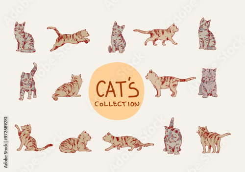 Set of Hand drawing cats vintage style vector illustration collection. Line art, outline domestic animals collection.
