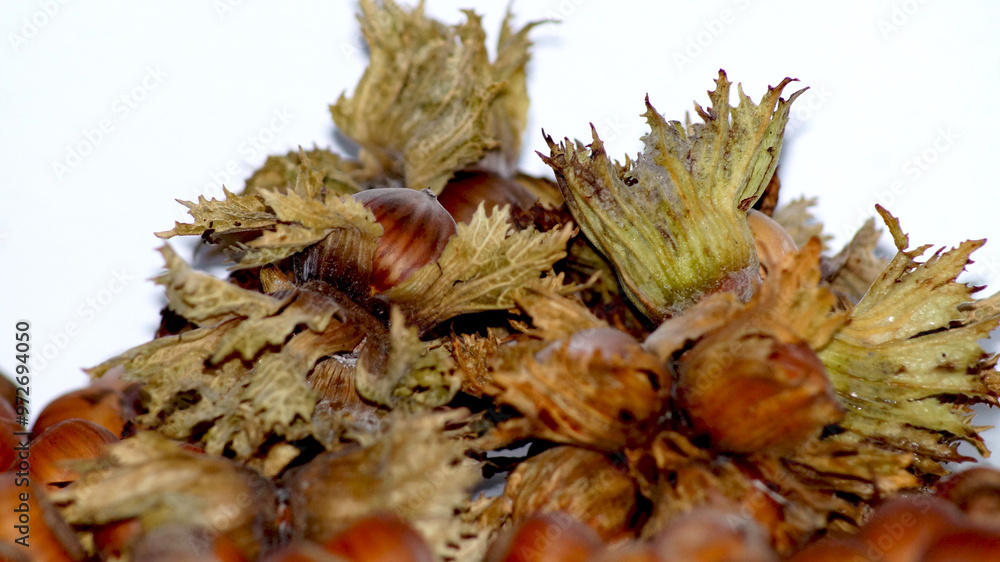 Fototapeta premium Unshelled hazelnuts . High quality photo