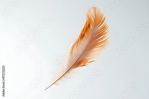 A single white feather floating gently on a black background