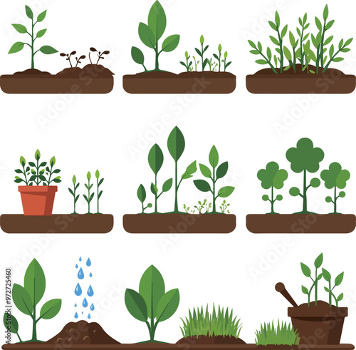Farming and Growth Stages Illustration