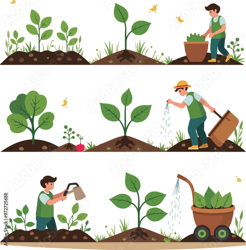 Farming and Growth Stages Illustration