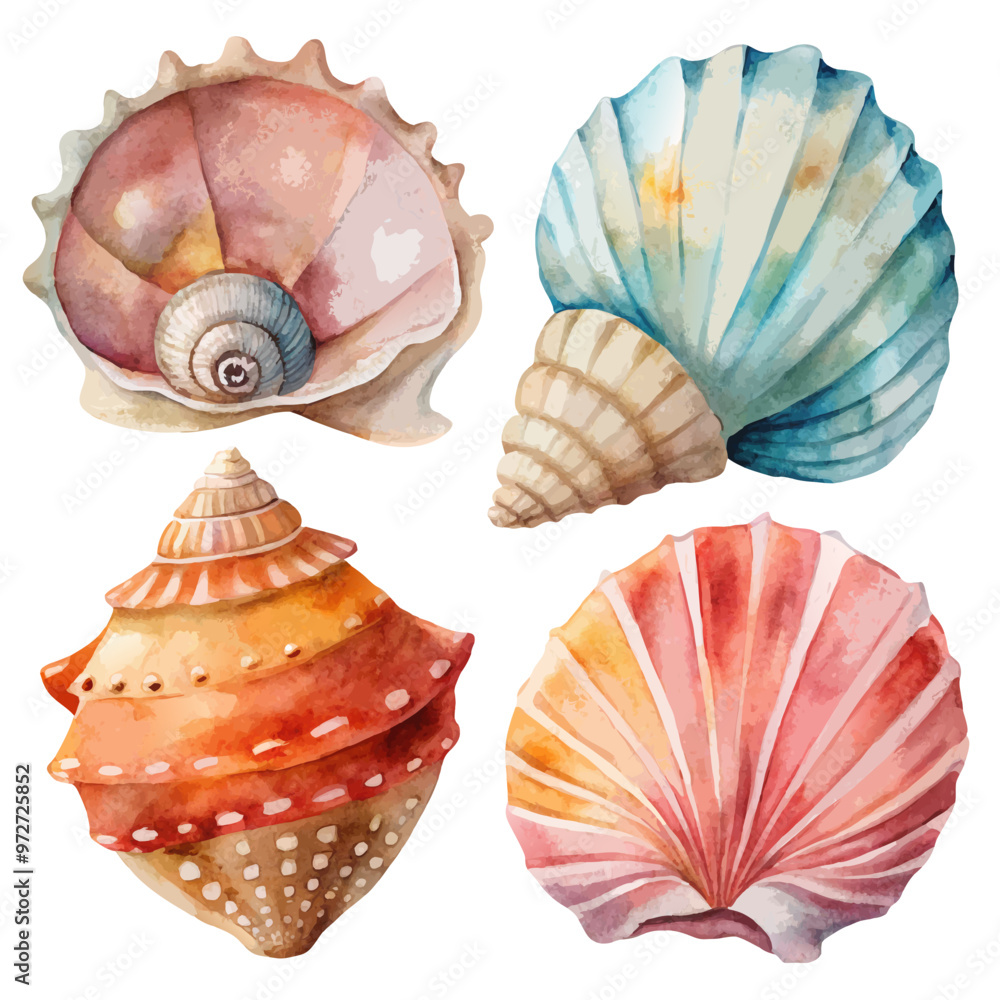Watercolor Seashells Set of 4 Watercolor Seashells Set of 4