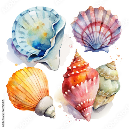 Watercolor Seashells Set of Four