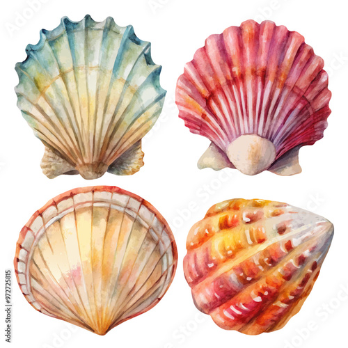 Watercolor Seashells Set