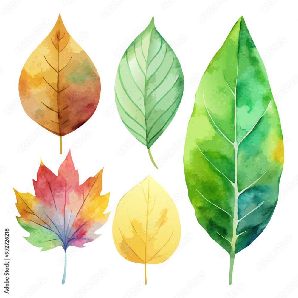 Watercolor Leaf with No Background Watercolor Leaf with No Background