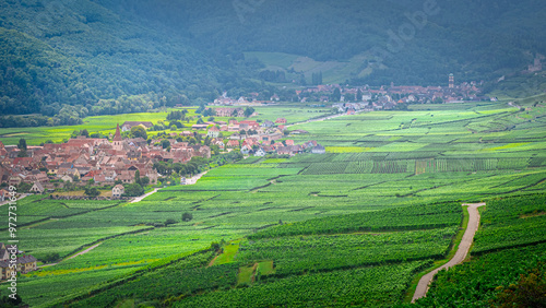 Vallée de Kaysersberg en Alsace.  photo