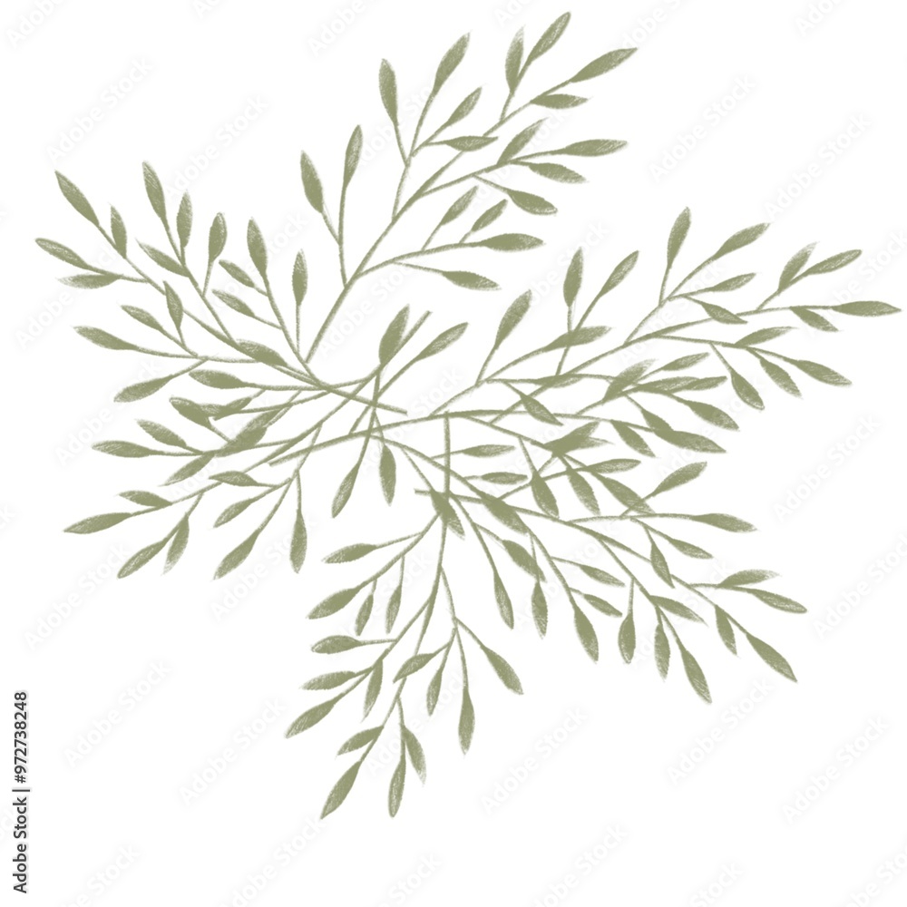 Fototapeta premium branches of a pine