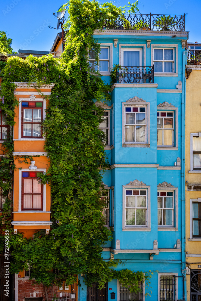 Naklejka premium Türkiye. Istanbul. lush foliage separates the colorful houses of Balat district