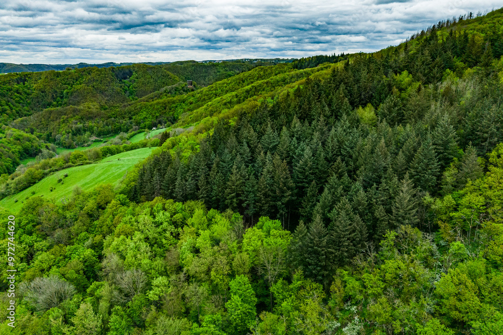© drotik - Aerial top view forest tree, Rainforest ecosystem and healthy environment concept and background, Texture of green tree forest view from above