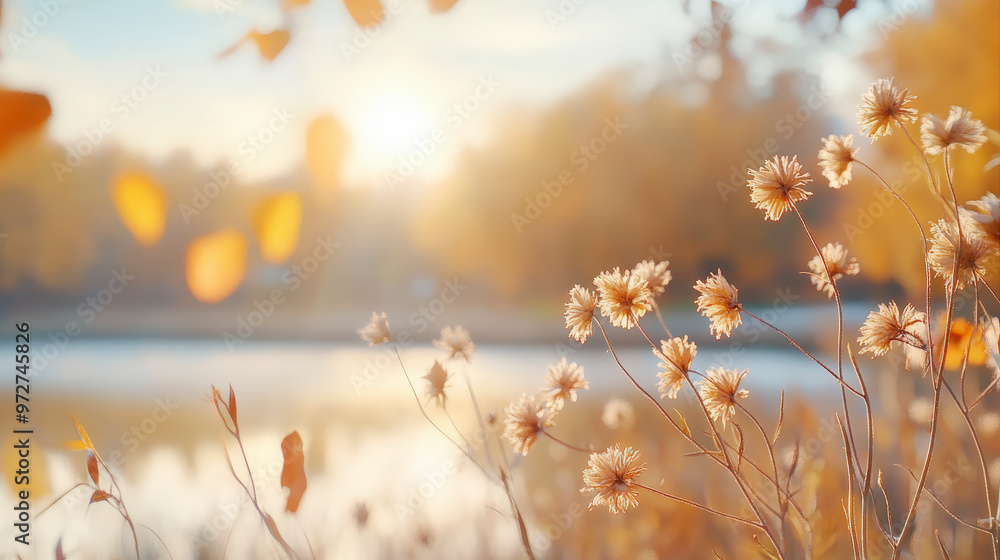 Sunlit wildflowers near a serene lake with autumn foliage in the background, capturing a peaceful and nostalgic atmosphere of late afternoon. Sunlit wildflowers near a serene lake with autumn foliage in the background, capturing a peaceful and nostalgic atmosphere of late afternoon.