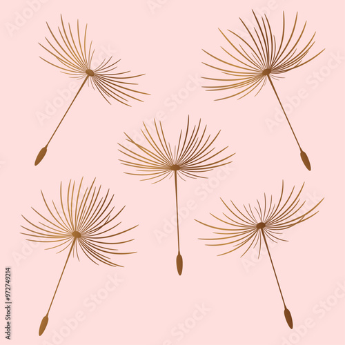 Set of dandelion seeds on light punk background.