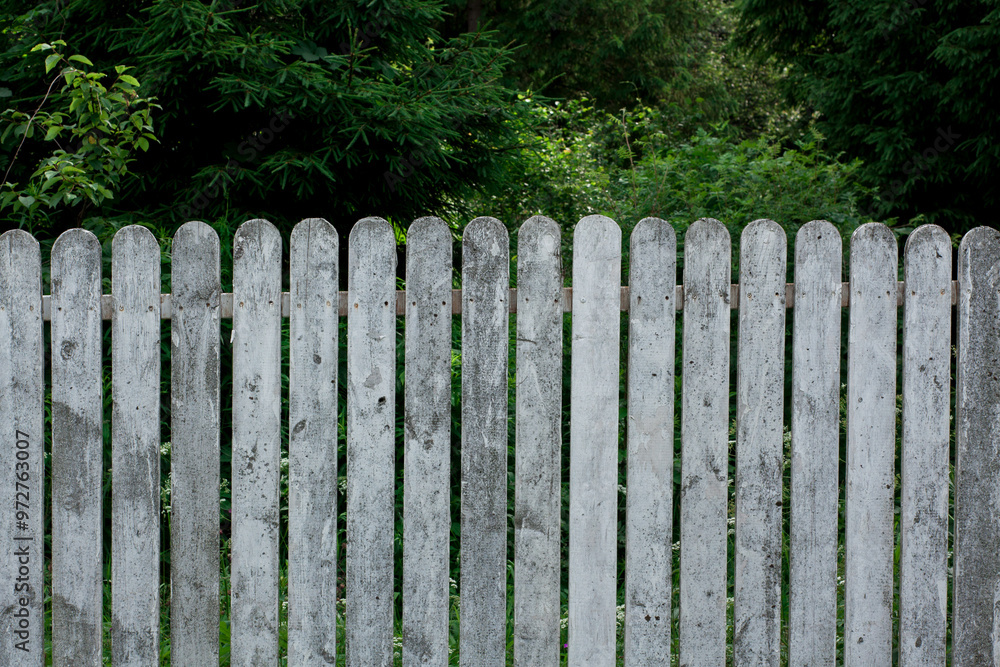 White wooden fence on the green summer garden forest background. front view White wooden fence on the green summer garden forest background. front view