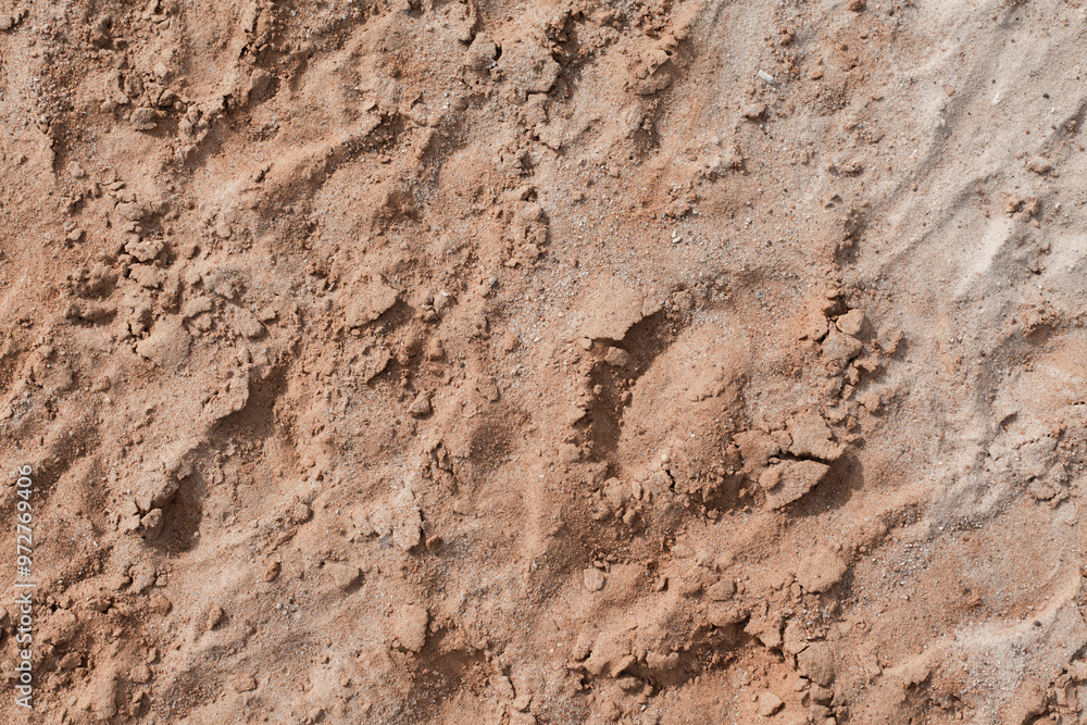 Background of beige, brown beach sand with natural pattern background. top view, flat lay. copy space, close up Background of beige, brown beach sand with natural pattern background. top view, flat lay. copy space, close up