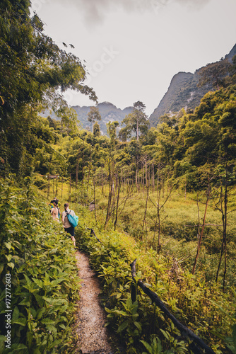 trail in the mountains