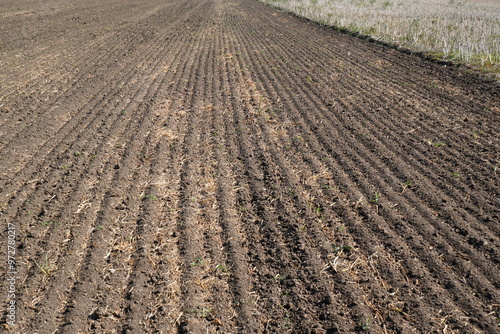 Freshly plowed field furrows after harvesting previous crop in Ilfov county, Romania