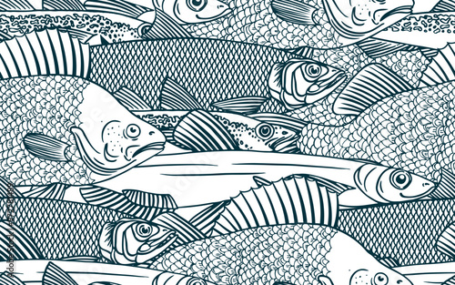 Fish seamless pattern. Perch, Capelin, Herring, Pollock, Shrimp. Vector illustration of fish on on white background. Seafood restaurant menu. Outline coloring book pages design. Wild nature, fishing.