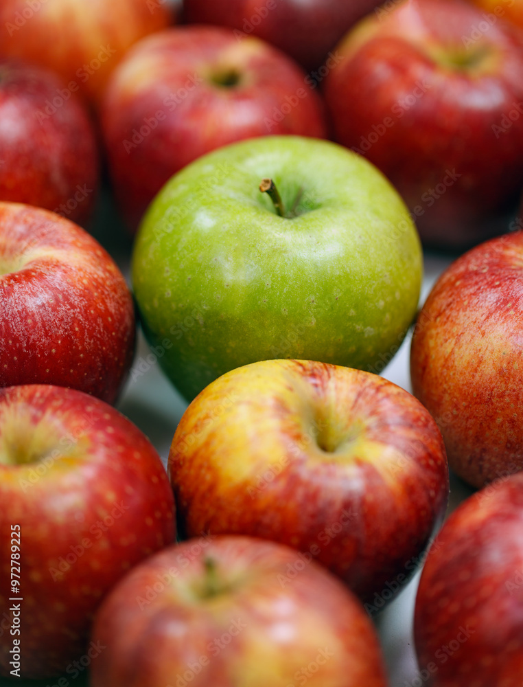 A vibrant green apple is surrounded by an array of red apples, highlighting the diversity in color and contrast. The apples are fresh. A single green apple stands out among a collection of red apples A vibrant green apple is surrounded by an array of red apples, highlighting the diversity in color and contrast. The apples are fresh. A single green apple stands out among a collection of red apples