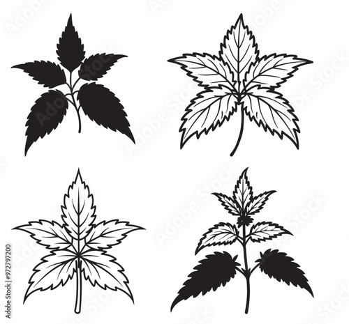 3d rendering of dynamic Nettle silhouette line art