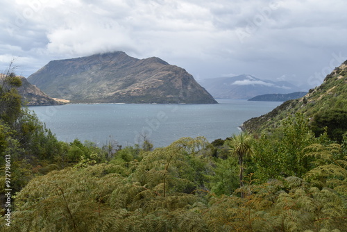 The lush Mou Waho island in Lake Wanaka, South Island, New Zealand