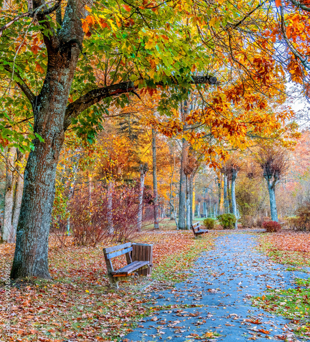 Old public garden park during a golden season of autumn, No AI tools were used