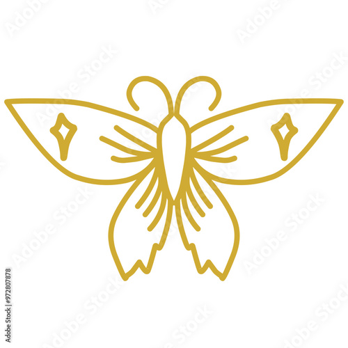Butterfly outline 