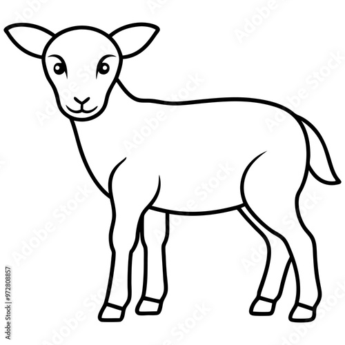 Baby Sheep line art vector black and white illustration