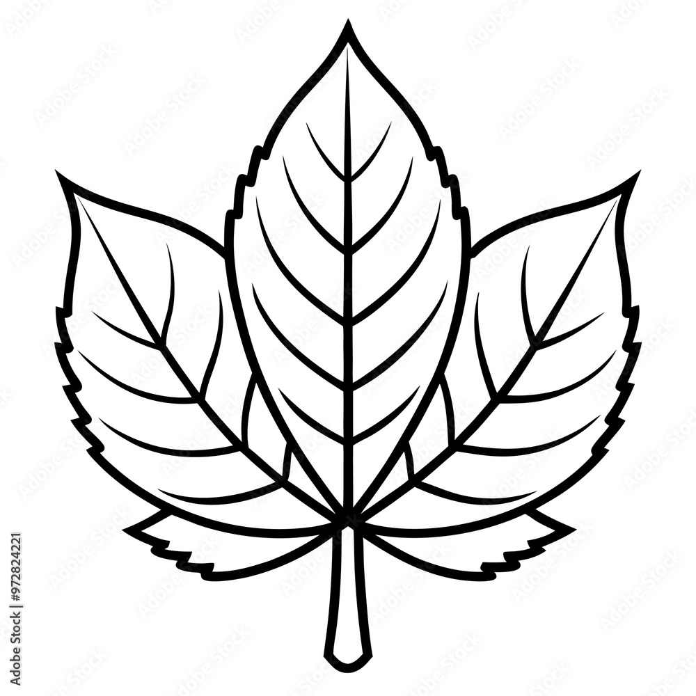 chestnut leaf outline coloring book page line art drawing chestnut leaf outline coloring book page line art drawing
