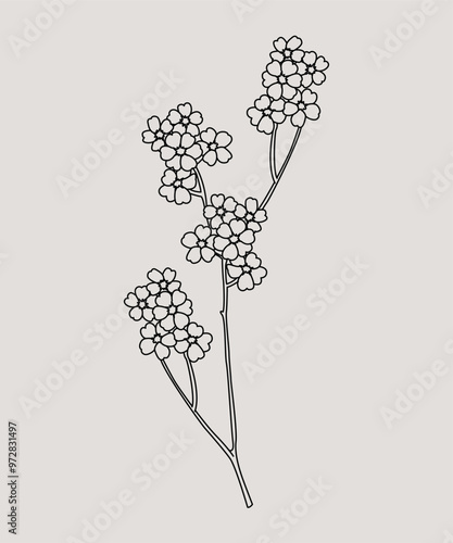 Disegno stilizzato di pianta. Schizzo fiore minimal, tratto linee. Catalogo botanica