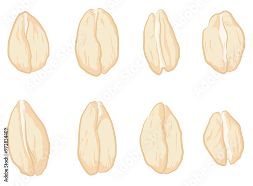 Oat Grains Oatmeal Seeds Top View