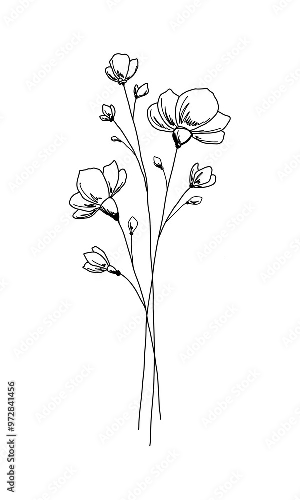 A bouquet of abstract wildflowers. Black and white contour illustration with a simple line, hand-drawn. A botanical festive element for decoration, postcard, design, wedding. Beautiful blooming buds. A bouquet of abstract wildflowers. Black and white contour illustration with a simple line, hand-drawn. A botanical festive element for decoration, postcard, design, wedding. Beautiful blooming buds.