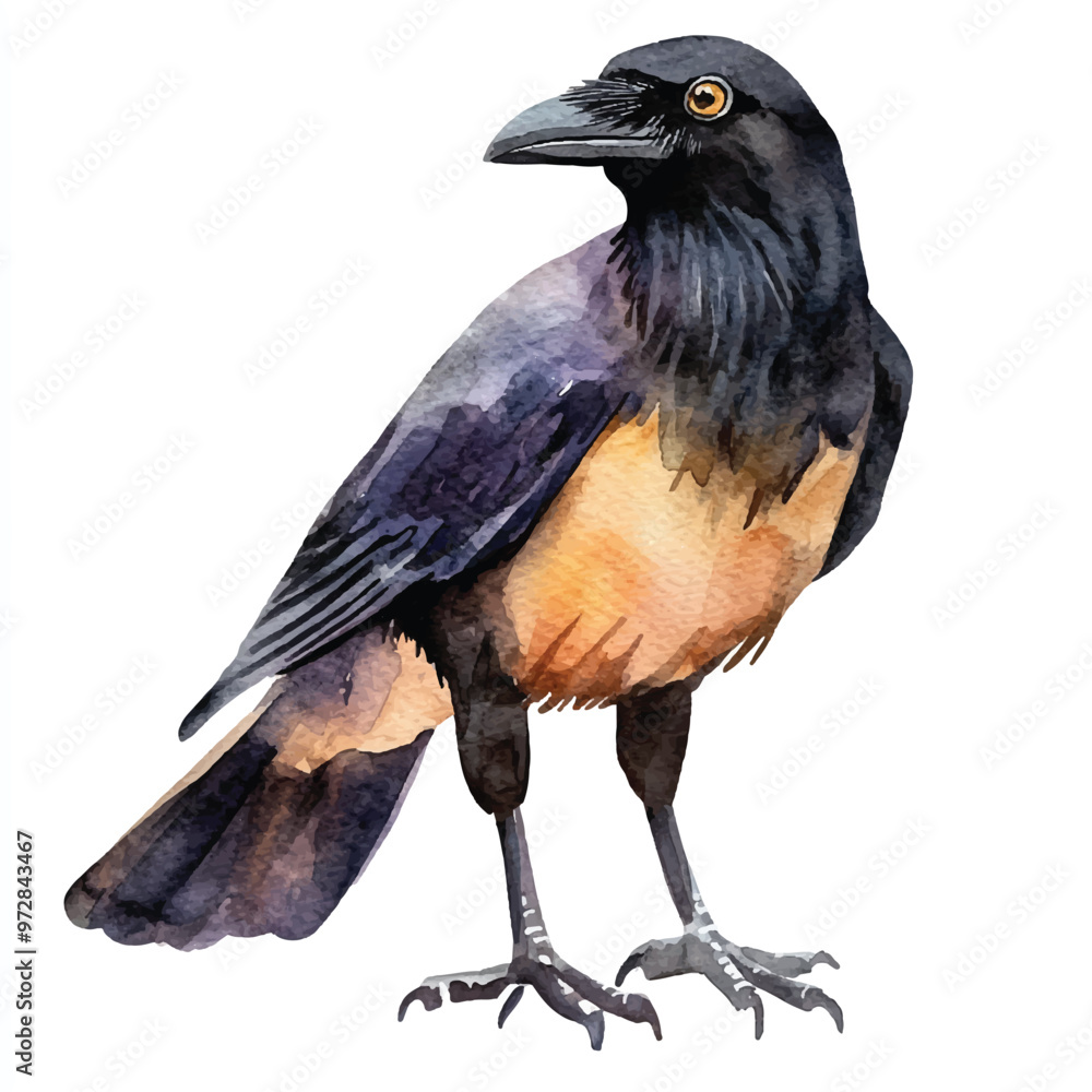 Fototapeta premium cute Crow watercolor clipart illustration isolated
