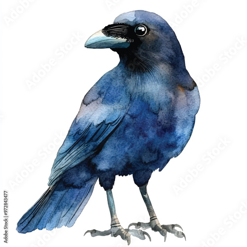 cute Crow watercolor clipart illustration isolated