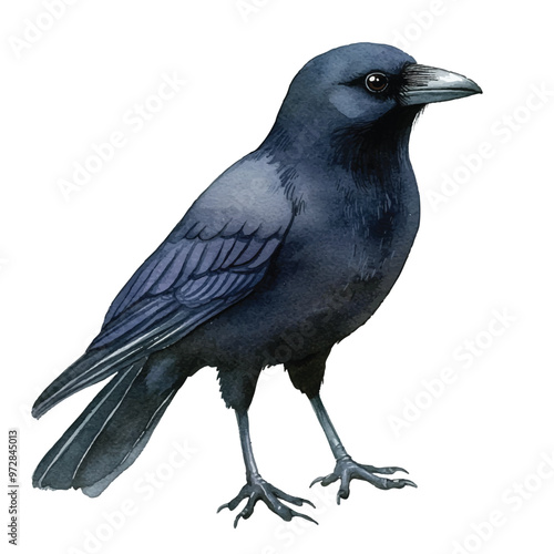 cute Crow watercolor clipart illustration isolated