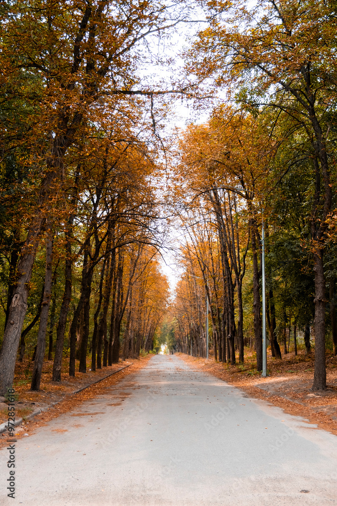 Obraz premium A stunning autumn road covered in golden leaves, surrounded by tall trees with vibrant orange and green foliage. The peaceful path stretches into the distance, creating a serene and picturesque atmosp