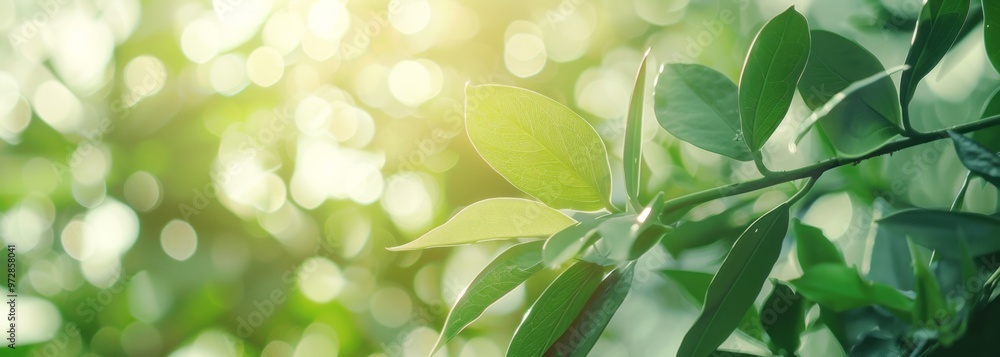 Bright Green Leaves Glimmering in Natural Light With a Soft Bokeh Background in a Lush Garden Bright Green Leaves Glimmering in Natural Light With a Soft Bokeh Background in a Lush Garden