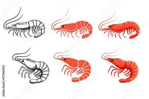 Red cooked shrimp and vector hand drawn shrimp isolated on white background	