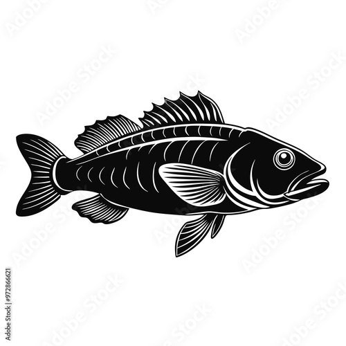 Wrasse Black Vector silhouette