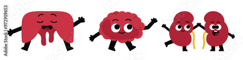 A cartoon illustration of a liver, a brain, and two kidneys. The organs are drawn as happy cartoon characters with arms and legs.