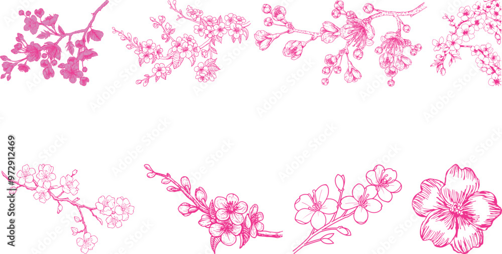 Japanese cherry icon set collection Japanese cherry icon set collection